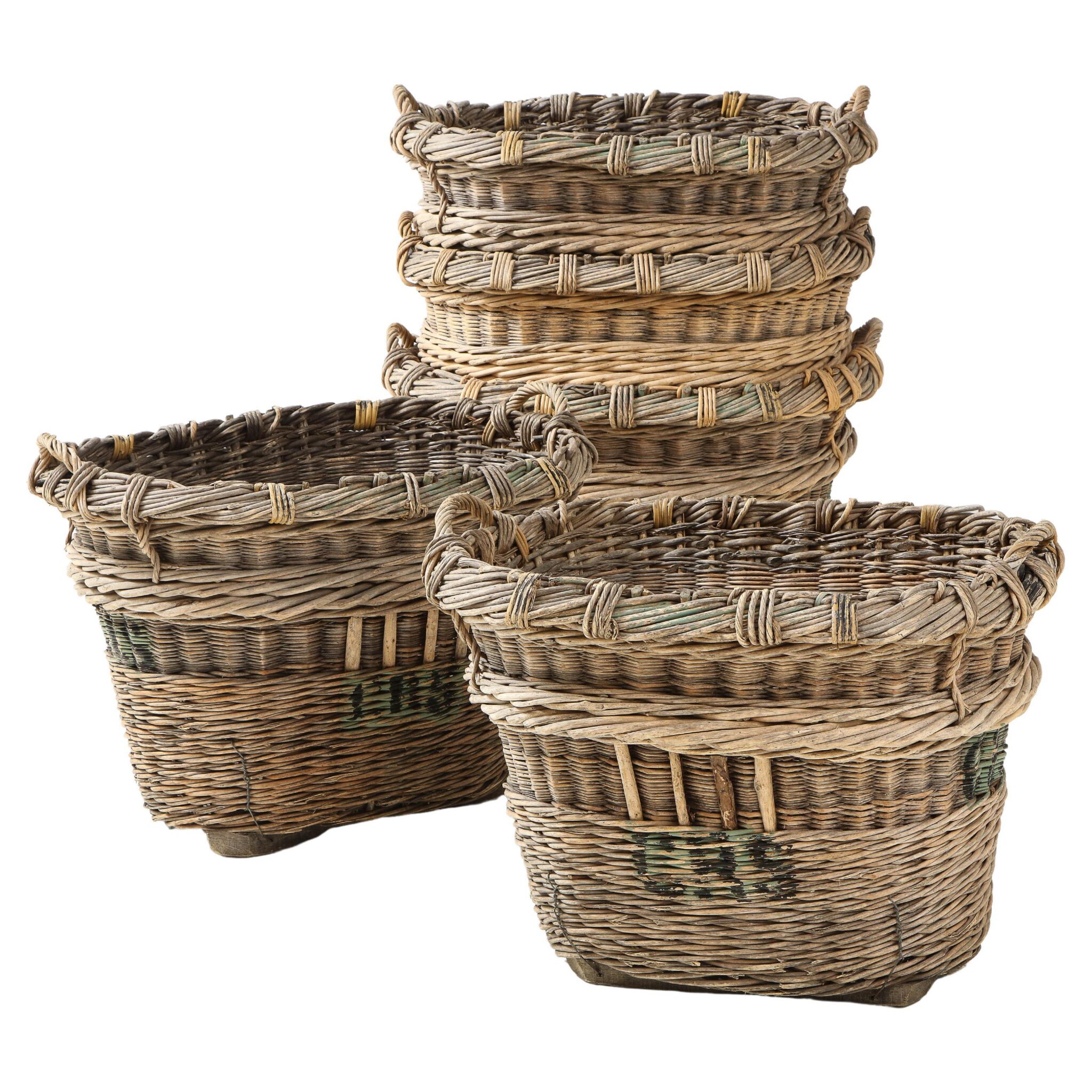Large Champagne Grape Harvest Baskets, Reims, France, c. 1920-30