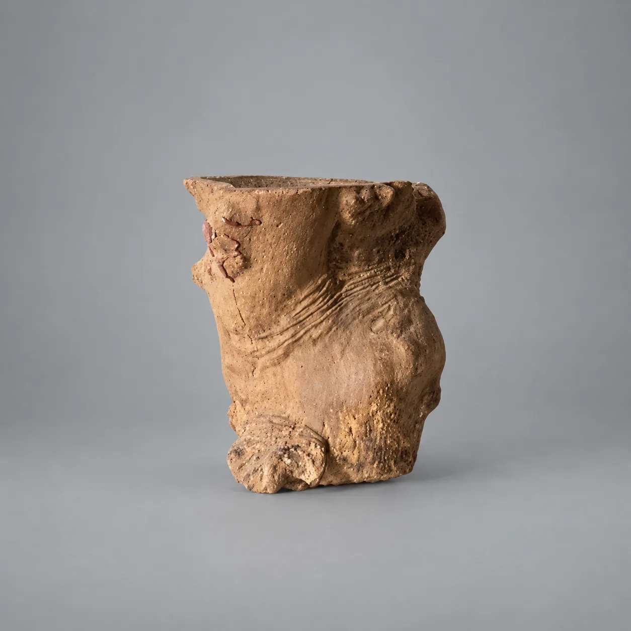 Qing Dynasty (1644-1911) Burl Scroll Pot (Scholars Pot), China, c. 1850